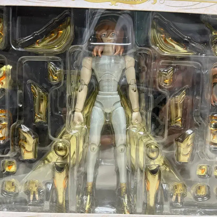 [BUNJANG] Saint Seiya Andromeda Shun Plastic Model Kit / 세인트세이야 안드로메다 슌