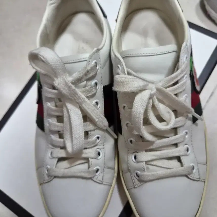 [BUNJANG] Gucci Ace Sneakers Size 36 / 구찌 에이스 사과 36