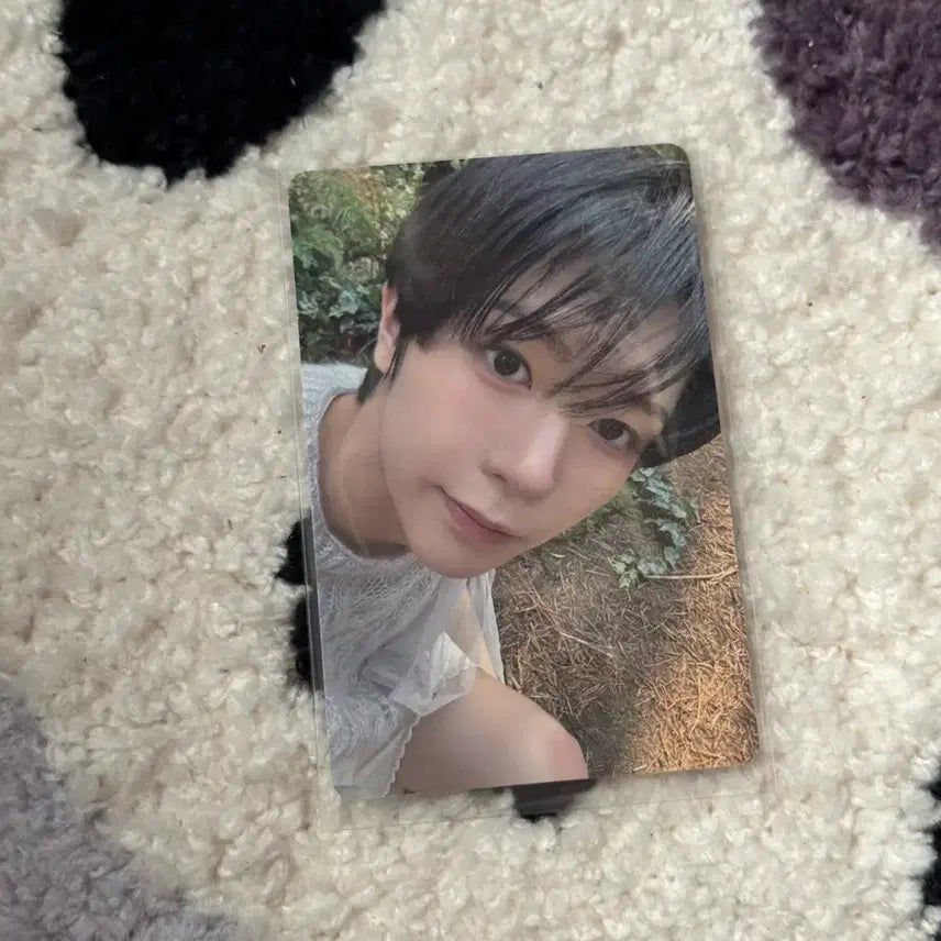 [BUNJANG] NCT WISH Osaki Ryō Photocard / 엔시티위시 오드투러브 빅스미니 료포카
