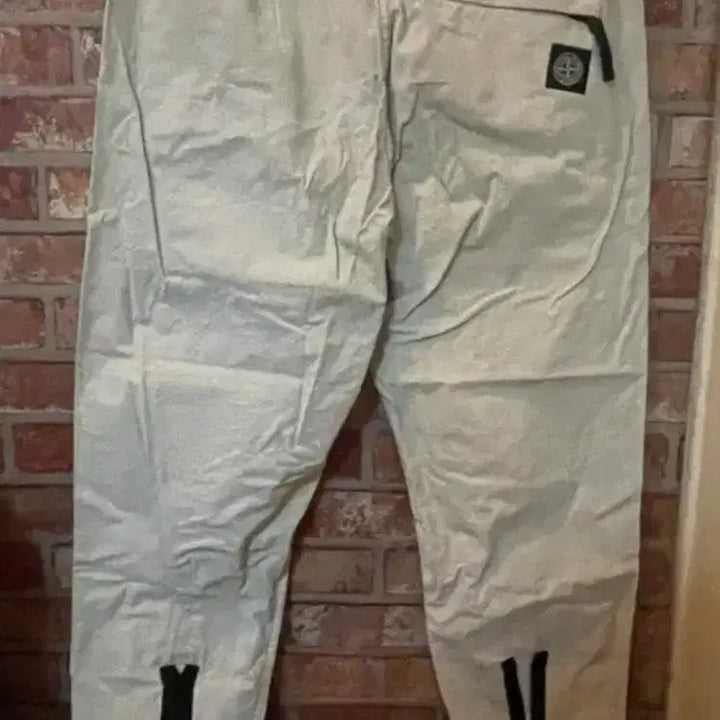 [BUNJANG] Stone Island Cargo Pants Canvas Jogger Pants / 스톤아일랜드 카고팬츠 캔버스 ( 희귀매물) 스톤아일랜드  조거바지