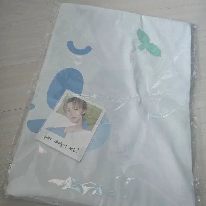 [BUNJANG] Boong-ee Pillow Cover Mark / NCT DREAM 부훙이 베개 커버 마크