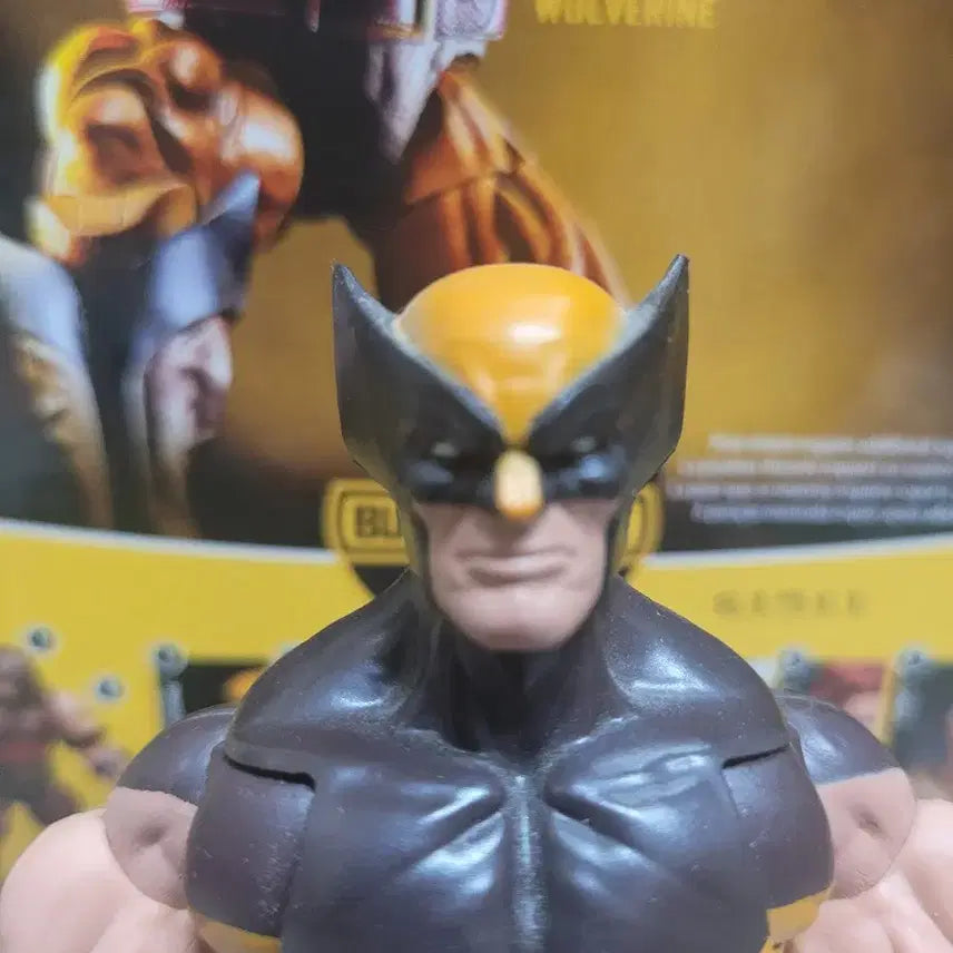 [BUNJANG] Marvel Legends Wolverine Figure (Limited Edition) / 마블 레전드 울버린 피규어(한정판).