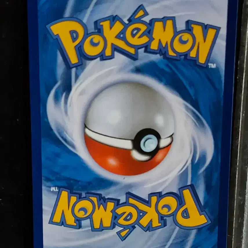 [BUNJANG] Pokemon Card Bundle Set / 포켓몬 카드 일거ㅏㄹ