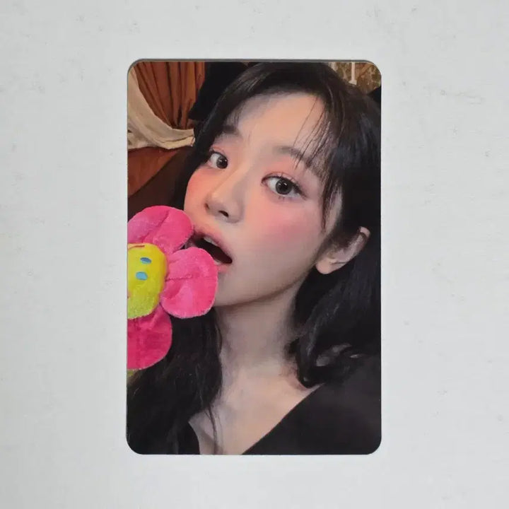 [BUNJANG] QWER Cho-dan Mini Record Photocard / QWER 예판 미니레코드 포카 양도 쵸단