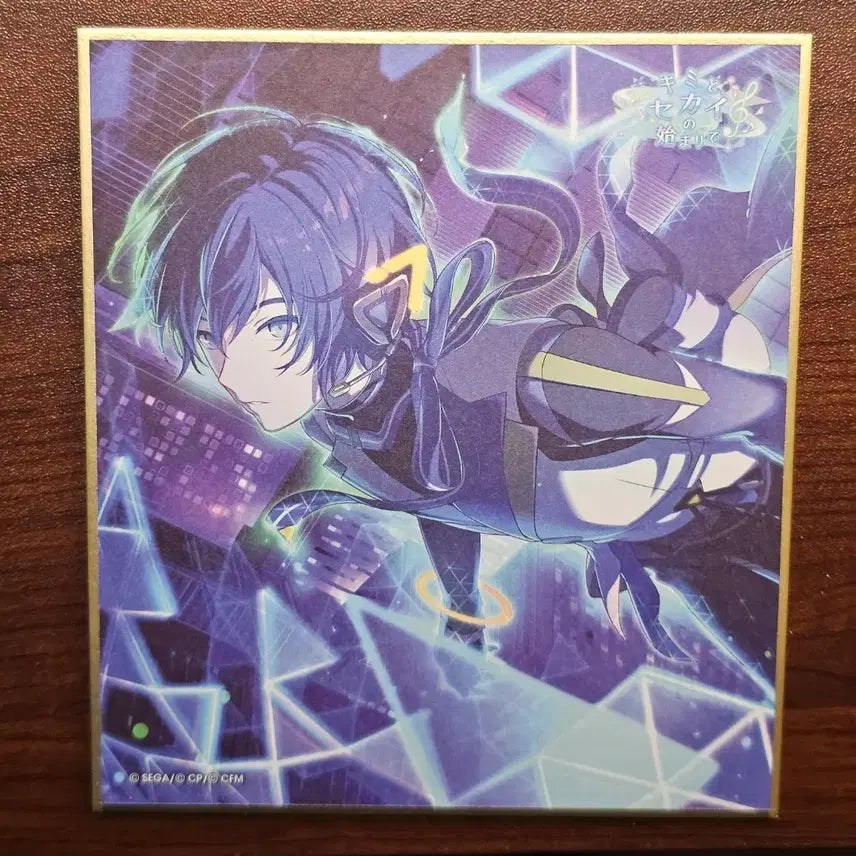 [BUNJANG] Kaito Waling Shikishi / 프세카 카이토 월링 색지