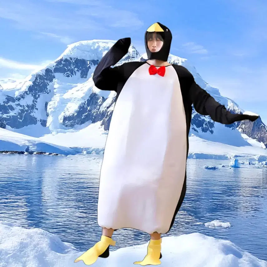 [BUNJANG] Penguin Graduation Costume Rental / 펭귄 졸업사진 의상 대여