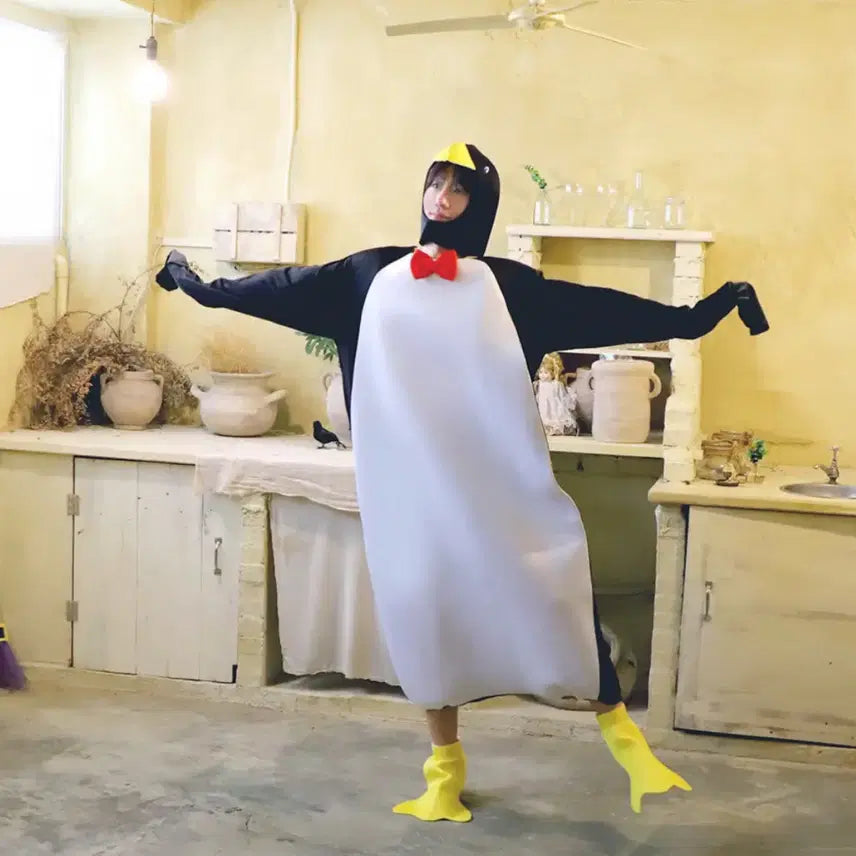 [BUNJANG] Penguin Graduation Costume Rental / 펭귄 졸업사진 의상 대여