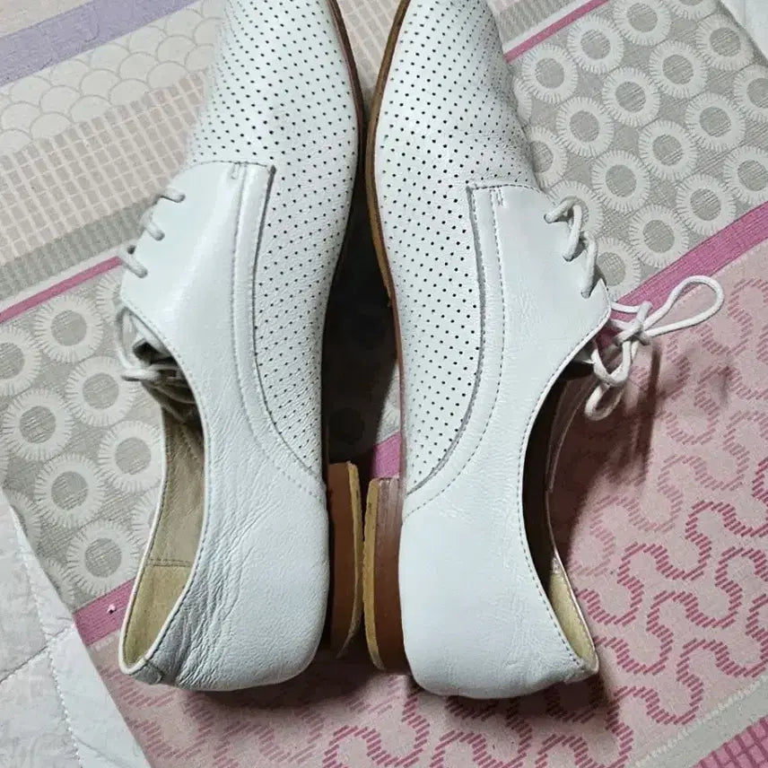 [BUNJANG] SouComaBonie White Perforated Leather Sneakers 240 / 수콤마보니 흰색 펀칭 가죽 운동화240