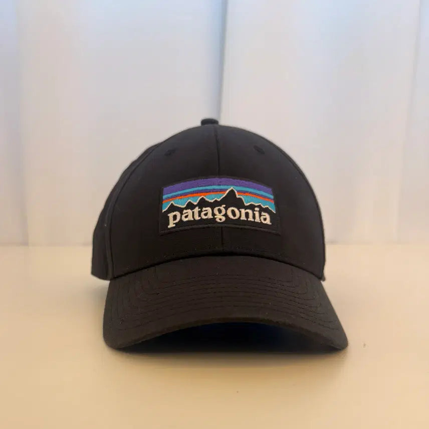 [BUNJANG] Patagonia P-6 Logo Trucker Hat / 파타고니아(Patagonia) P-6 로고 트러커 햇
