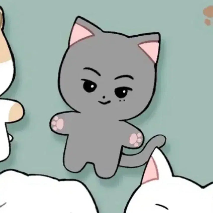 [BUNJANG] ENHYPEN Jay "Miguknyang" Doll / 엔하이픈 제이 인형 미국냥 양도