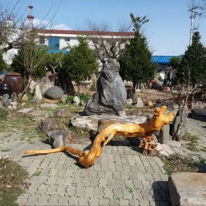 [BUNJANG] Natural Stone Monk Statue and Zelkova Root Sculpture / 자연석및 느티나무뿌리