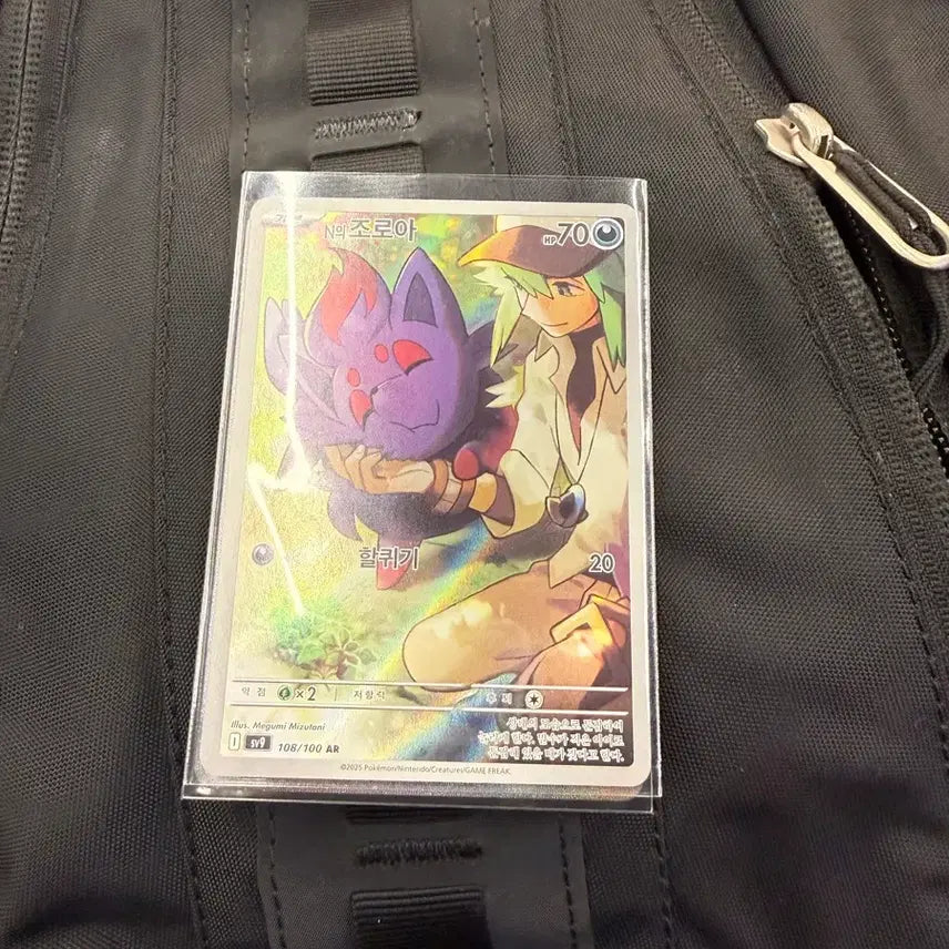 [BUNJANG] Pokemon Card N&