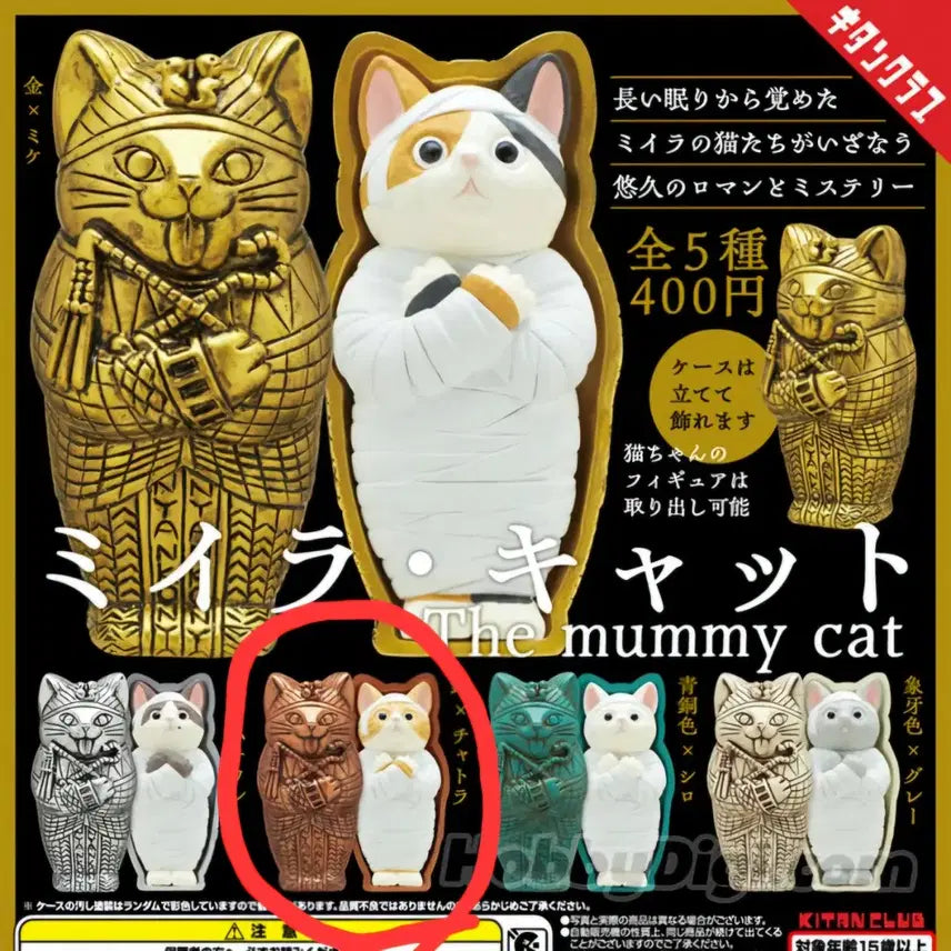 [BUNJANG] Miiira Cat Gacha Toy / 미이라고양이 가챠 판매