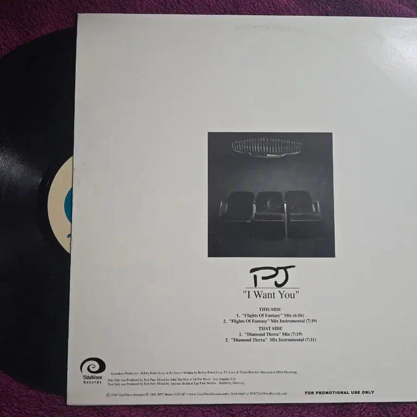 [BUNJANG] PJ I Want You 1998 Promo 12-Inch Vinyl Single / PJ_I Want You_LP-USA