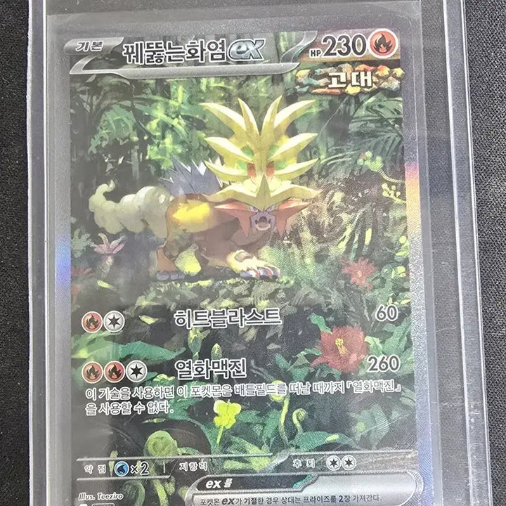 [BUNJANG] Pokemon Scorching Flames EX Card / 포켓몬 꿰뚫는화염 EX 카드