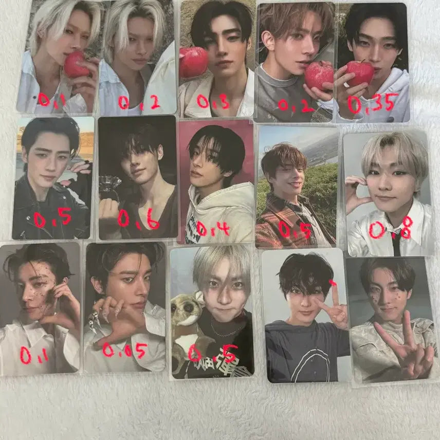 [BUNJANG] ENHYPEN Photocard / 엔하이픈 포카 양도합니다