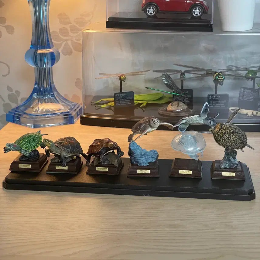 [BUNJANG] Nature Technicolor Turtle Figure Set with Base / 네이처테크니컬러 좌대 거북이