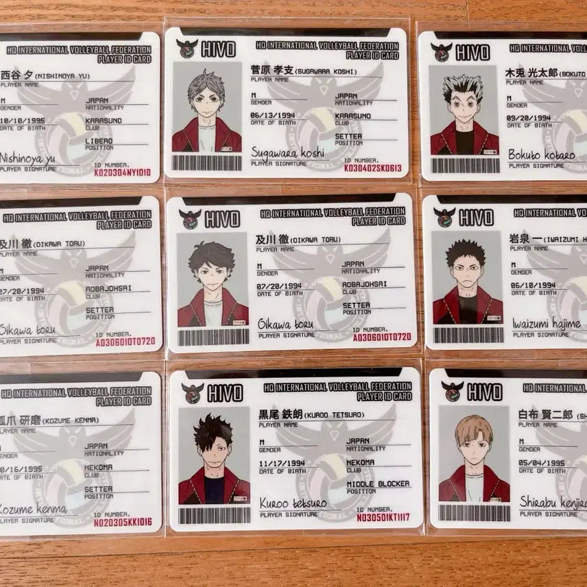 [BUNJANG] Haikyuu National Team ID Cards 9-Card Bundle / 하이큐 국대증 9장