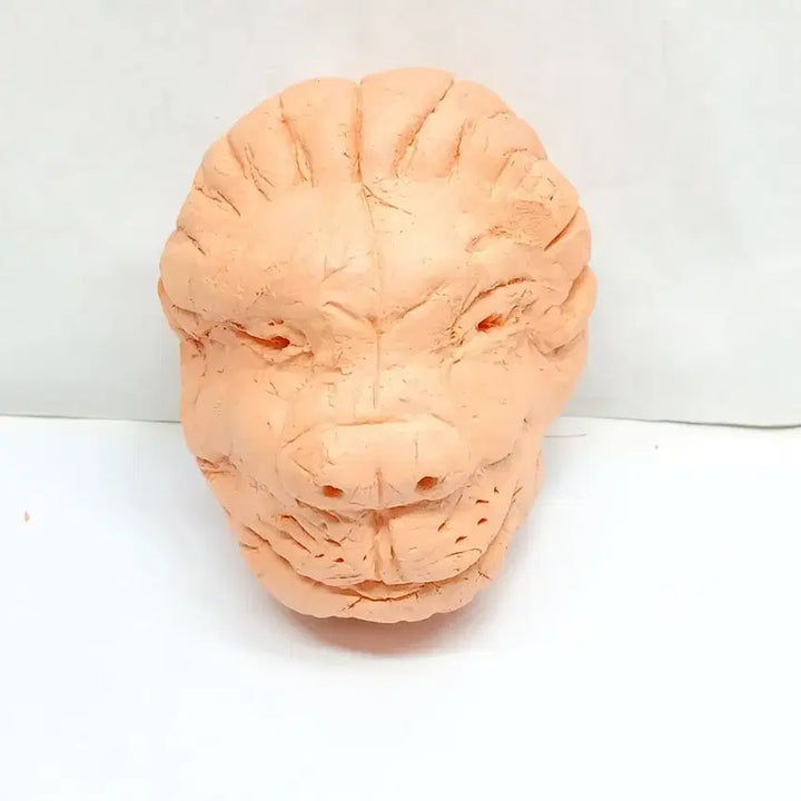 [BUNJANG] Clay Lion Head Sculpture / 점토 조형 사자 머리 두상