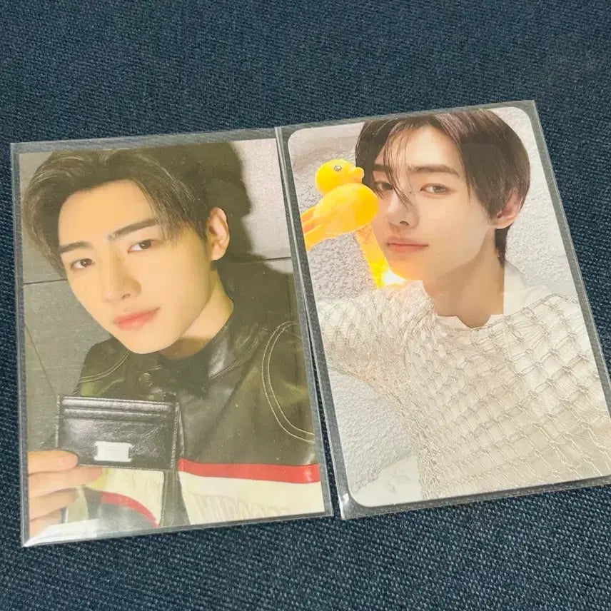 [BUNJANG] Sunghoon Bundle Set Photocard / (일괄) 성훈 포카 일괄