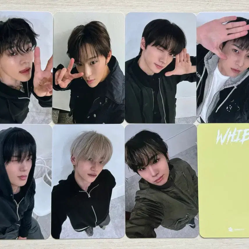 [BUNJANG] WHIB Lucky Draw Photocard / 휘브 미공포 양도 whib 포카