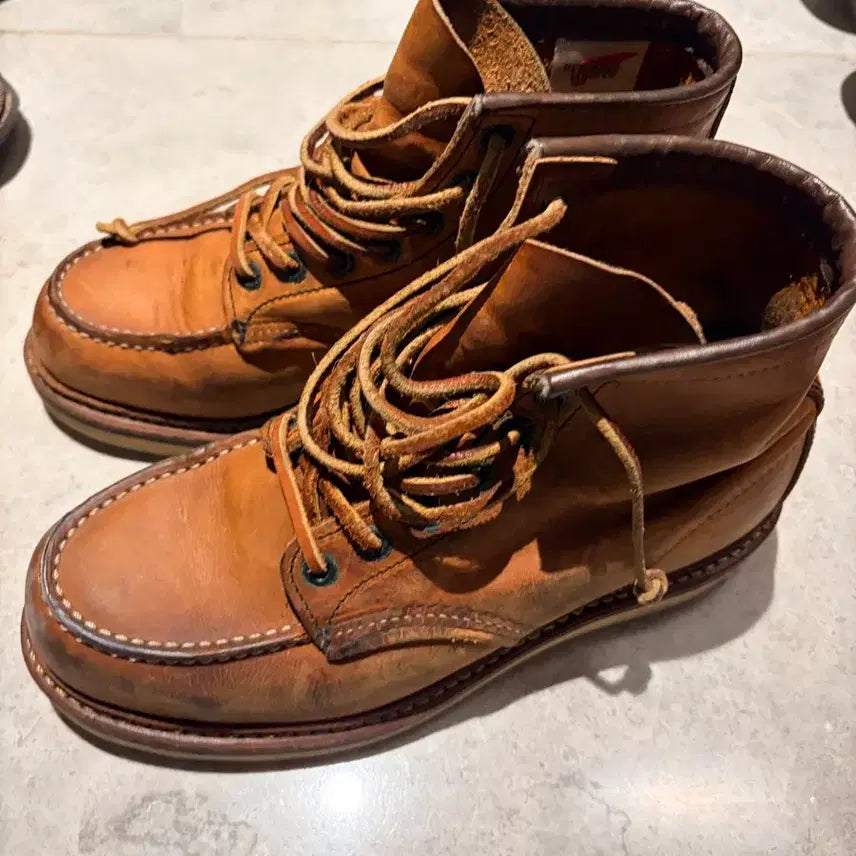 [BUNJANG] Red Wing 1907 Moc Toe Boots / 레드윙 1907 목토 부츠 250mm
