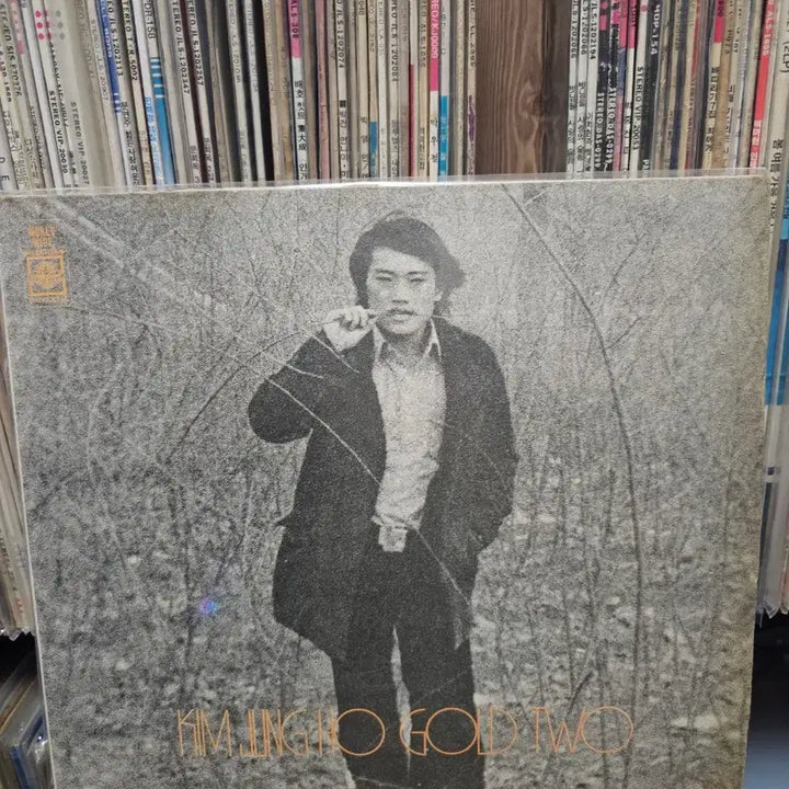 [BUNJANG] Kim Jung Ho 2nd Album Gold LP / [LP]김정호 골드 2집