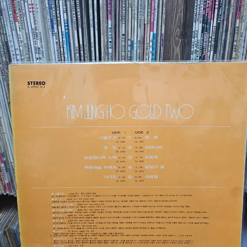 [BUNJANG] Kim Jung Ho 2nd Album Gold LP / [LP]김정호 골드 2집
