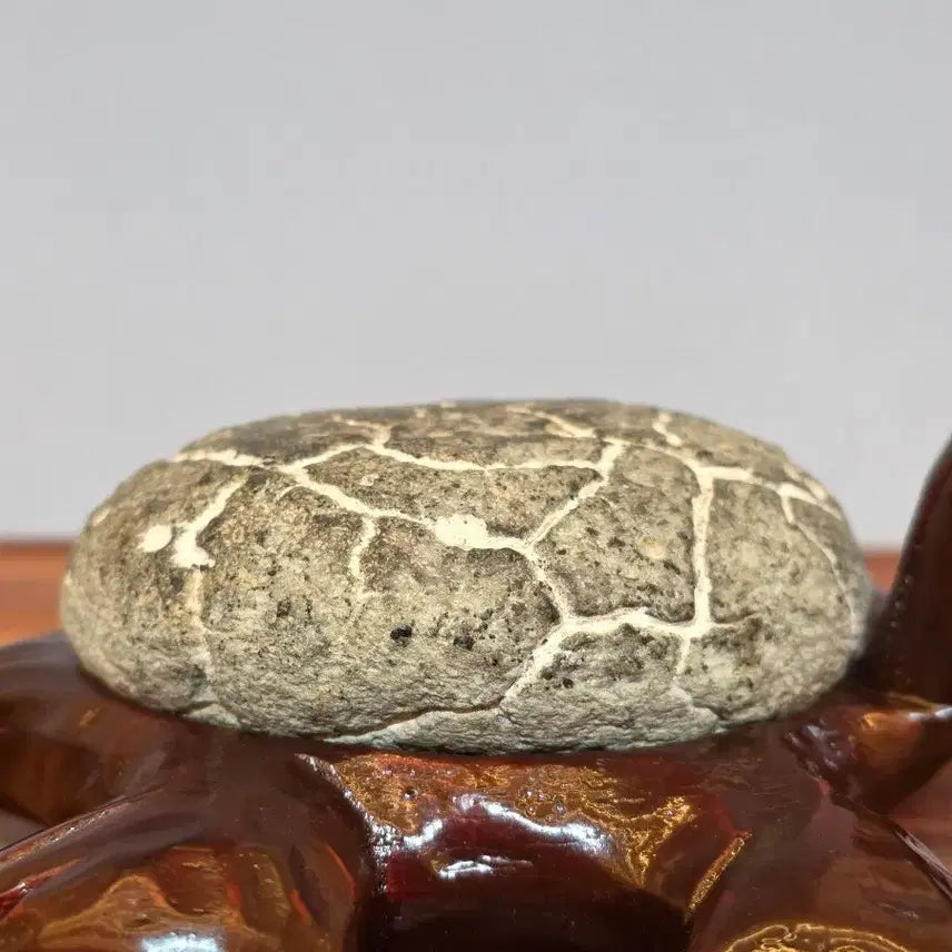 [BUNJANG] Smiling Turtle Stone Sculpture / 26050409 웃고있는 국내 구갑 거북이 수석 팝니다