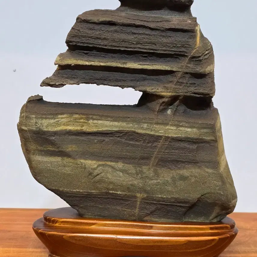 [BUNJANG] Jigok Choco Top Quality Stone / 26050410 속돌 변화와 트임이 좋은 지곡 초코 수석 팝니다