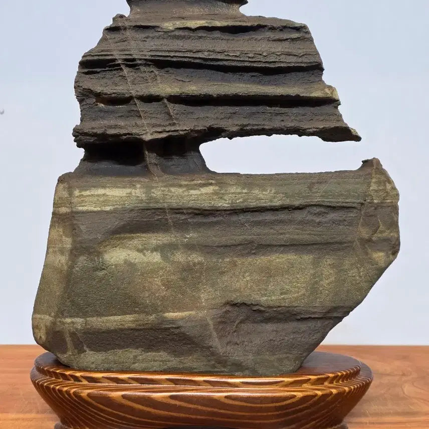 [BUNJANG] Jigok Choco Top Quality Stone / 26050410 속돌 변화와 트임이 좋은 지곡 초코 수석 팝니다
