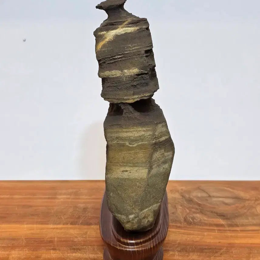 [BUNJANG] Jigok Choco Top Quality Stone / 26050410 속돌 변화와 트임이 좋은 지곡 초코 수석 팝니다