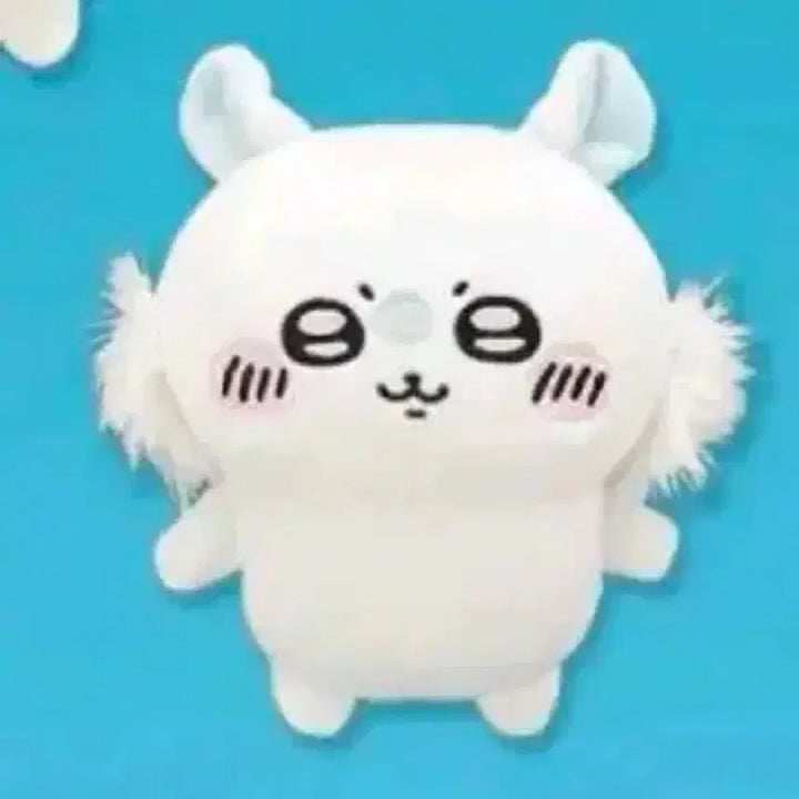 [SOLD OUT] 모몽가/모몬가 후류 채집 누이