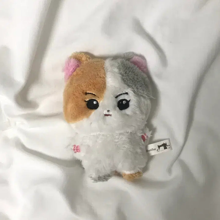 [BUNJANG] Kkoreanyangs ENHYPEN Yang Jungwon Doll / 한국냥 엔하이픈 양정원 인형