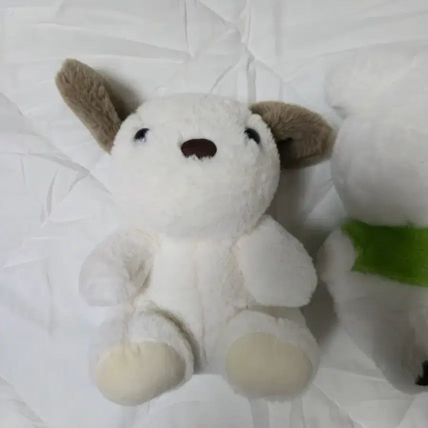 [BUNJANG] Large Otter Plush Doll (Rakkosan) 30cm / 네잎크로버 인형 수달인형 랏코상 대형인형 큰인형 30cm 강아지