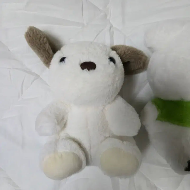 [BUNJANG] Large Otter Plush Doll (Rakkosan) 30cm / 네잎크로버 인형 수달인형 랏코상 대형인형 큰인형 30cm 강아지