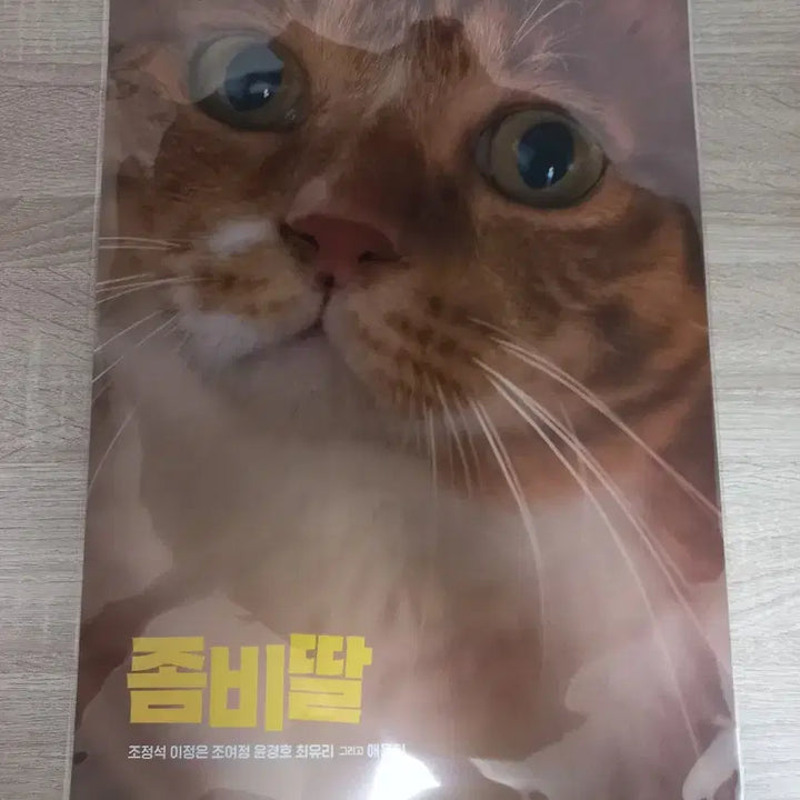 [BUNJANG] Zombie Daughter Aeyong Poster / 좀비딸 애용이 포스터