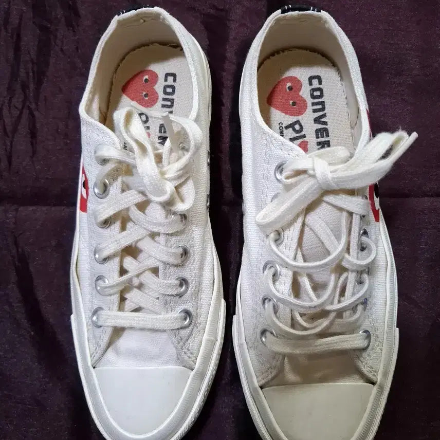 [BUNJANG] Comme des Garçons Low-Top Sneakers Canvas Ivory / 꼼데가르송 스니커즈 로우탑