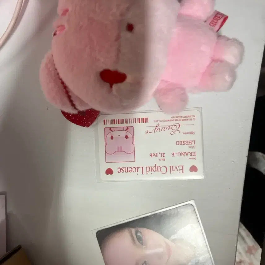 [BUNJANG] IVE LEESEO Photocard / 아부부 이서 포카포함
