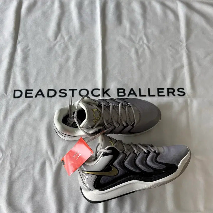 [BUNJANG] Nike KD 17 EP Iron Metallic Gold / KD17 EP 아이언 메탈릭골드