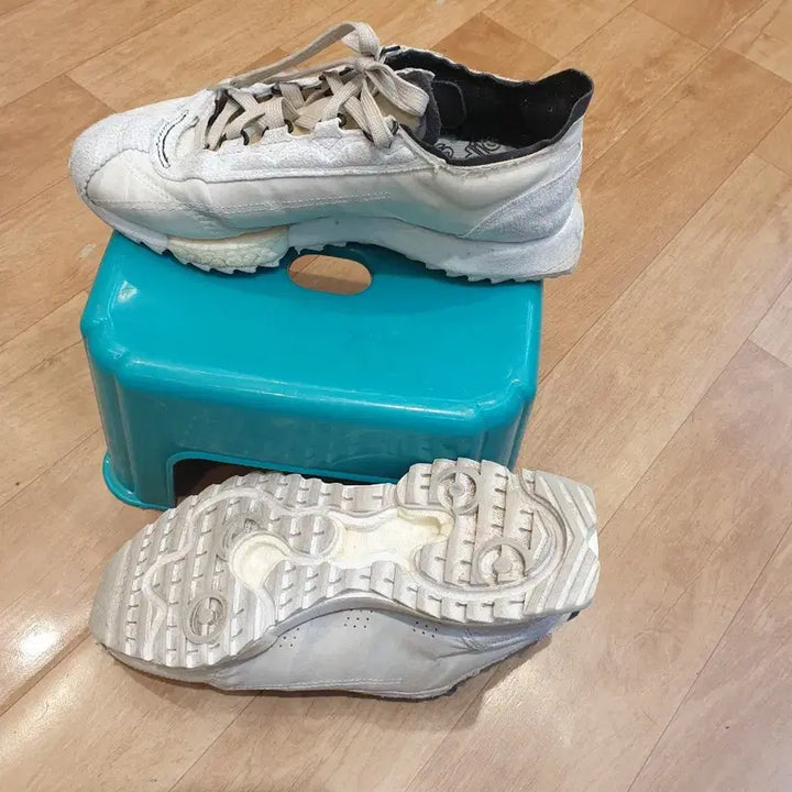[BUNJANG] Adidas Trekking Shoes (250mm) / 아디다스트레킹화