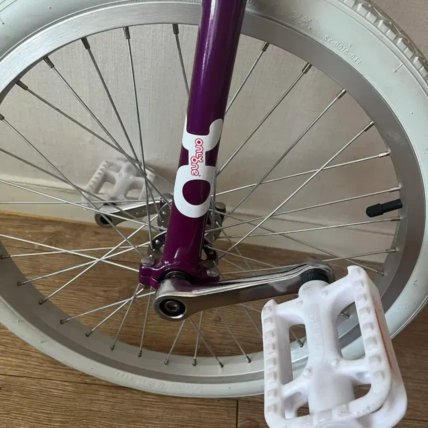 [BUNJANG] QUAXX 20-inch Unicycle / 독일 쿠악스 QUAX 20인치 외발자전거 / 직거래