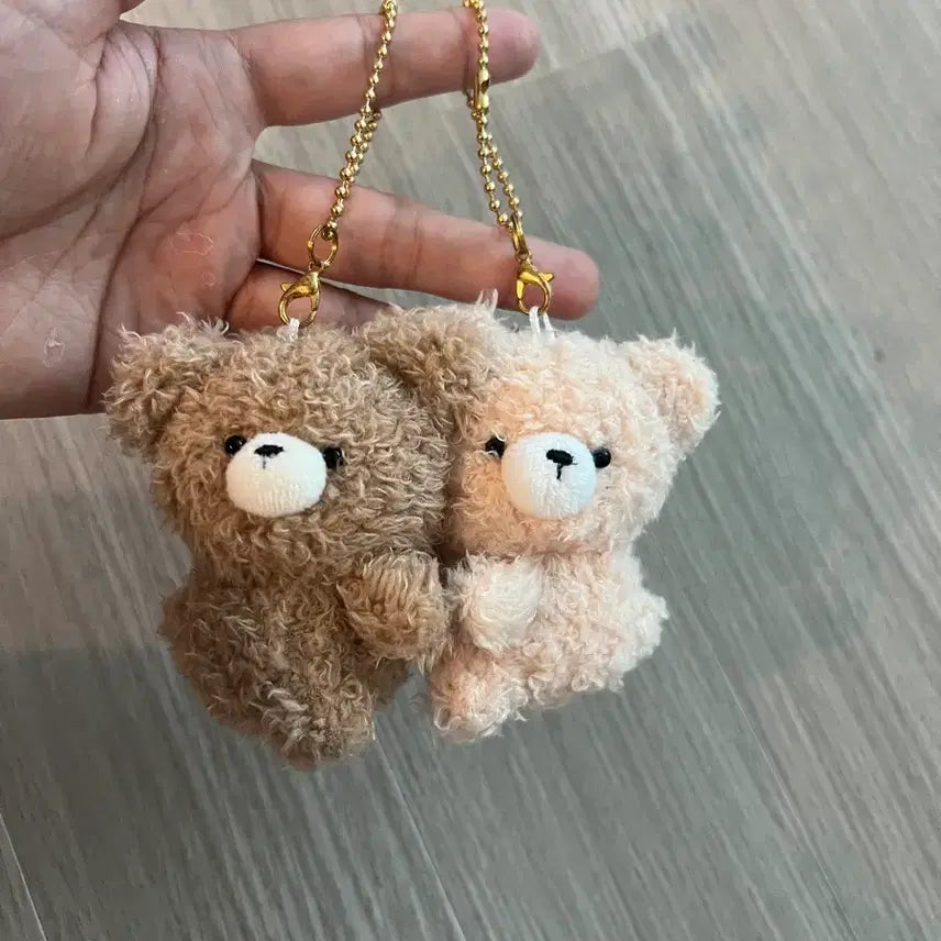 [BUNJANG] Pochal Nico Nui Bear Plush Set / 일본 뽀실 니코누이 곰인형 세트