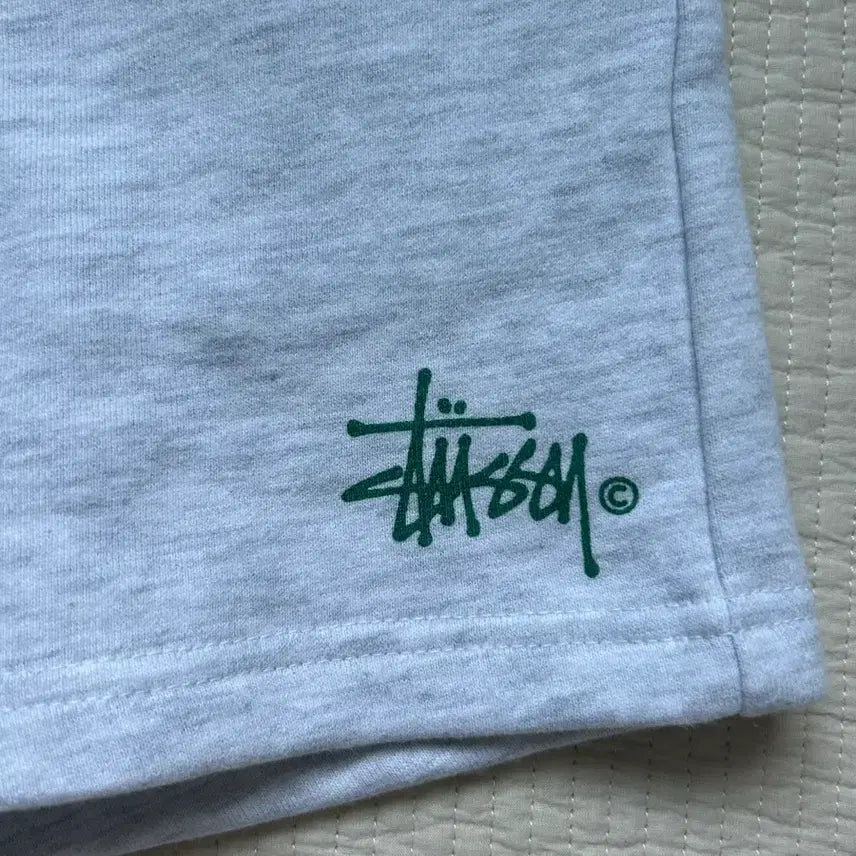 [BUNJANG] Stussy Shorts / 스투시 반바지