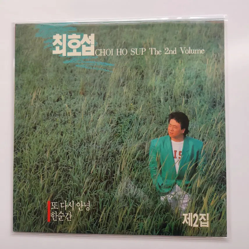 [BUNJANG] Choi Ho-seop 2nd Album LP / 최호섭 2집 LP / MINT