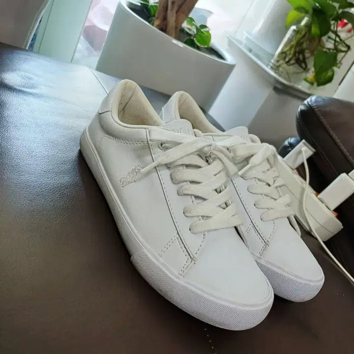 [BUNJANG] Polo Sneakers / 폴로   스니커즈 운동화 235