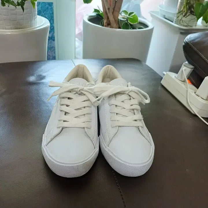[BUNJANG] Polo Sneakers / 폴로   스니커즈 운동화 235