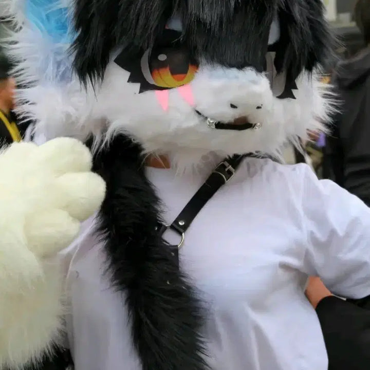 [BUNJANG] Fursuit Head &amp; Paws / 퍼슈트 헤드,손 판매