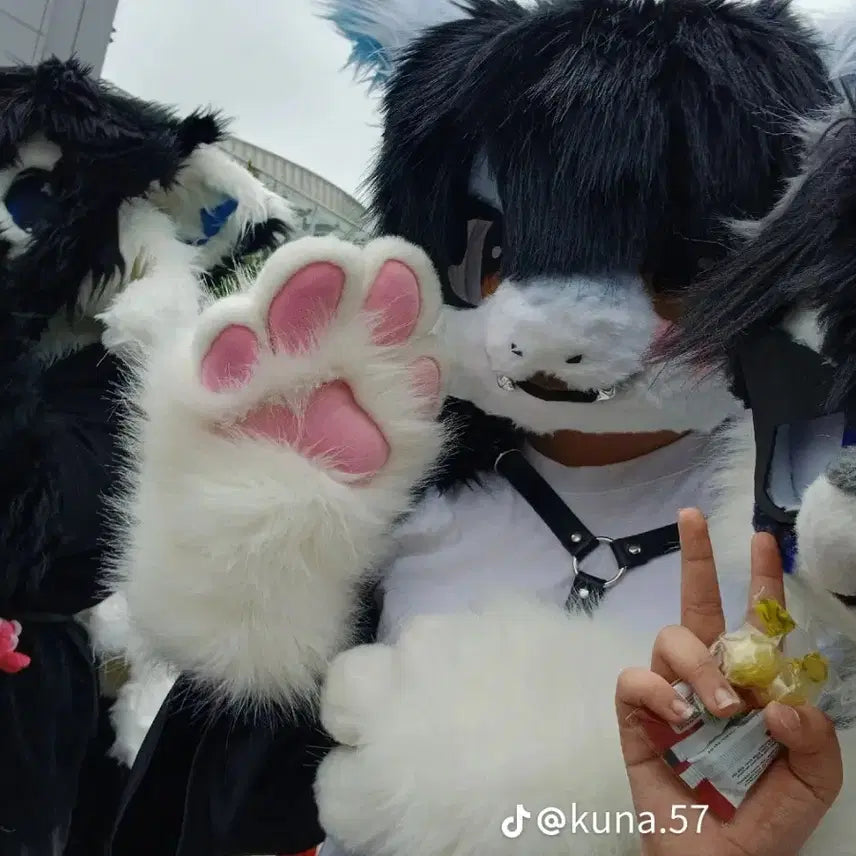 [BUNJANG] Fursuit Head &amp; Paws / 퍼슈트 헤드,손 판매