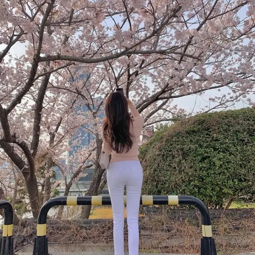 [SOLD OUT] 애장템 블랙퍼플 실크 레이스 팬티